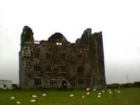 Castle.JPG (90861 bytes)