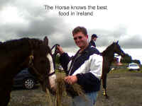 HorseJR1.JPG (119493 bytes)