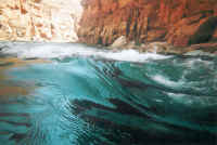 Day5Rapid.jpg (70569 bytes)