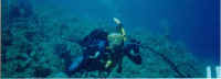 Scuba Jeff2.jpg (31297 bytes)